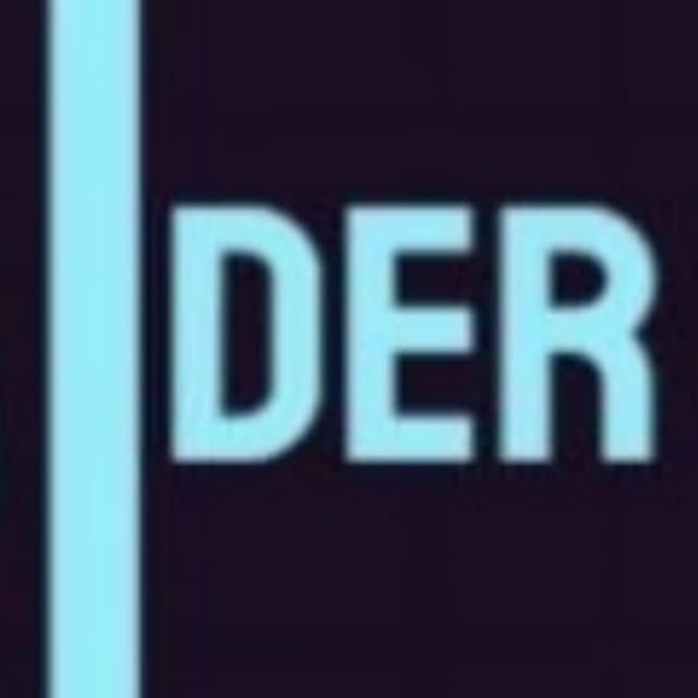 Der Consulting Plc Logo
